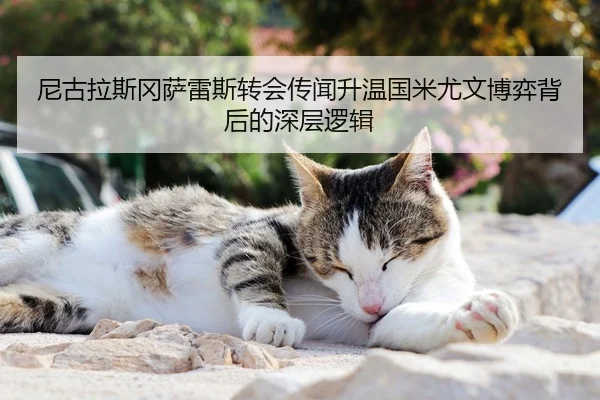 尼古拉斯冈萨雷斯转会传闻升温国米尤文博弈背后的深层逻辑